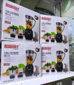 3 IN 1 REDBERRY BLENDER