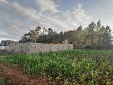0.1 ha Residential Land in Kikuyu Town