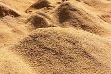 Sawdust(large quantity in tonnes or kgs)