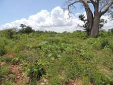 1,012 m² Residential Land at Diani Beach Road