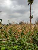 Land in Kasarani