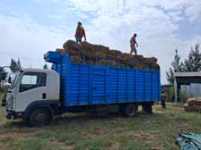 Bhoma Rhodes Grass Hay Bales For Sale