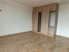 4 Bed Apartment with En Suite in Spring Valley