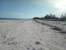 50-Acre Beach Plot For Sale in Bofa/Kilifi