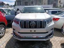 PRADO TZ.G