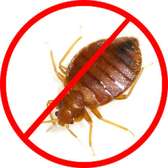 Fumigation and Pest-Control Services