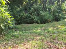 Land in Lower Kabete