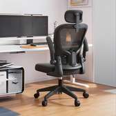 Orthopedic Mesh Executive Chair