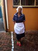 Cleaners and Housekeeping Staff and Office Assistants 4 Hire