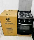 Standing cooker 50 by 55