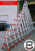 STEP LADDERS (DUAL STEP) FOR SALE
