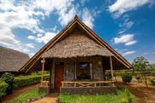 Thatched Makuti Roofs