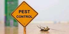 Cockroach/bedbugs control