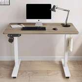 Adjustable Electric Table