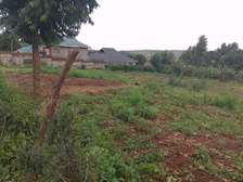 Prime 70 by 100 ft plot for lease in Gikambura Kikuyu