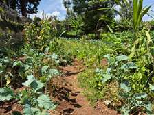 Residential Land in Kitisuru
