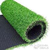 elegant carpet grass