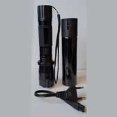 2 in 1 Self Defense Pepper Spray and Torch Shock Teaser