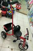 2 in 1 baby Tricycle 4.8