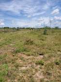 Land for sale in bisil
