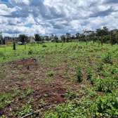 0.05 ha Residential Land in Thika Road