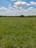Plots for sale at isinya
