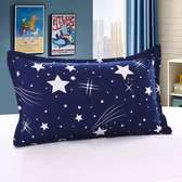 DECORATIVE BED PILLOWS