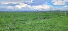 Land in Kisaju