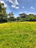 5 ac Land in Karen