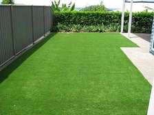 Modern -artificial Grass Carpet