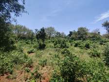 0.25 ac Land in Diani