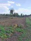0.5 ac Residential Land at Kiamunyeki