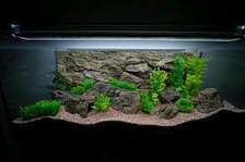 3D Aquarium background wallpaper