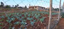50 by 100 plots for sale in Lussigeti kikuyu area