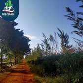 12 ac land for sale in Thika Road
