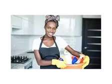 Best Nanny Agency in Nairobi,Ruiru,Thika,Kiambu,and Ruaka