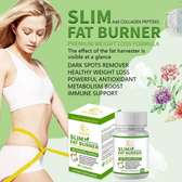 DUOZI Slim Fat Burner - 60 pills pack.