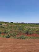 0.25 ac Residential Land at Gwakairo