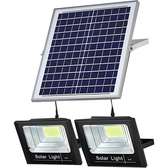 300w solar floodlight Automatic (2 Lights, 1 Solar Panel)