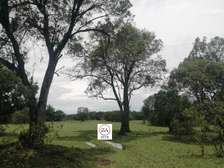70 ac Commercial Land at Masai Mara