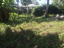Stunning One Eighth Plots in Ongata Rongai