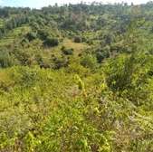 15 acres land for sale in muranga