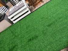 quality green turf grass