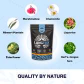 LungTox Tea Organic Lungs Cleanser