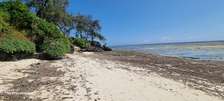 167.5 ac Land at Vipingo