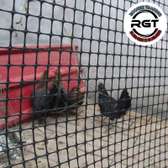 PLASTIC GEOGRID MESH FOR SALE