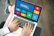 Payroll Software providers resellers in kilifi