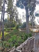 0.3 ac Land at Kabiria