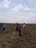 Land for Sale in Nanyuki, 1/8 acre