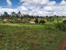 50*100ft plots for sale at Kabati